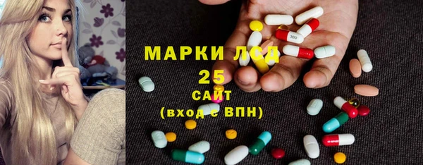 хмурый Алзамай