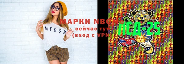хмурый Алзамай