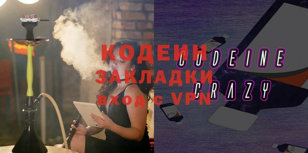 хмурый Алзамай