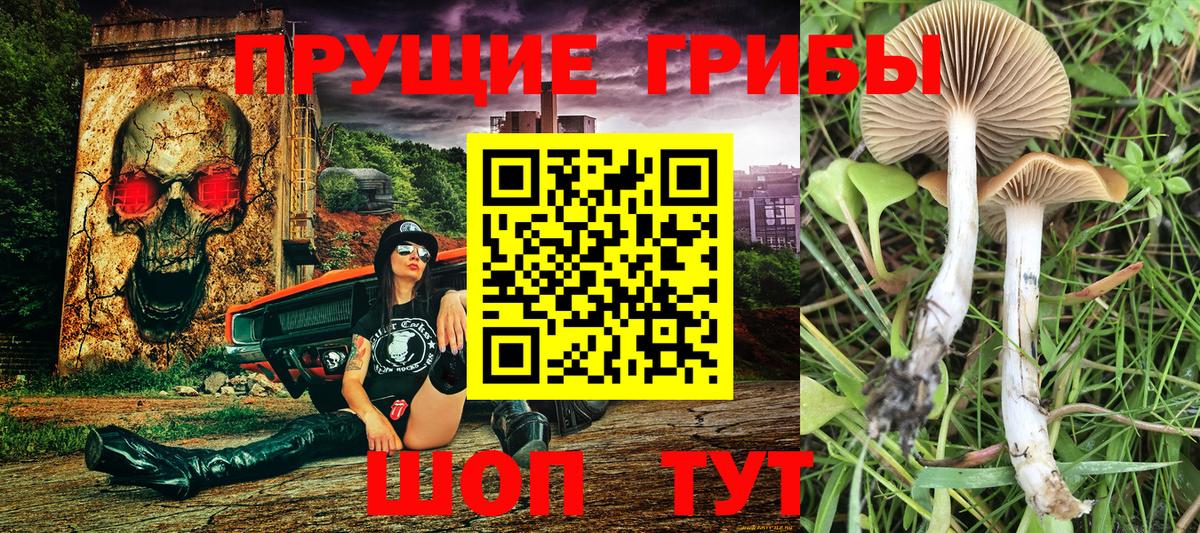 Псилоцибиновые грибы мицелий Саров
