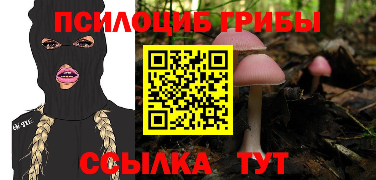 Псилоцибиновые грибы прущие грибы  Галлюциногенные грибы мицелий  Саров  Вход с VPN 
